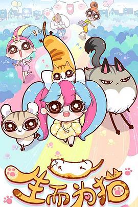 网站优化页面承载词